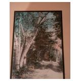 South Dakota Coasters - 4-Pack with Turquoise Vase, Conch Shell & Framed Print Shelf Decor