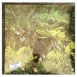 UL - Pablo Cruise - Pablo Cruise LP Vinyl 12-Inch 33 1/3 RPM - A&M Records