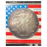 1999 AMERICAN SILVER EAGLE 1 TROY OZ .999 FINE SILVER IN CASE