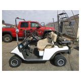 EX-Go Golf Cart