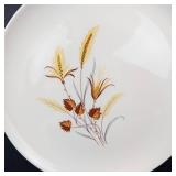 Taylor Smith & Taylor Ever Yours Autumn Harvest Dinner Plates 10 inch (Lot of 8)