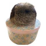 Racoon Fur Hat & Vintage Hat Box