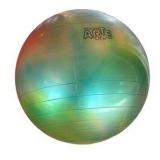 Gymnic Arte Plus 55 Exercise Ball