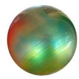 Gymnic Arte Plus 55 Exercise Ball