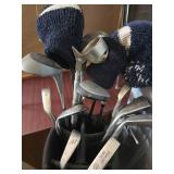 Set of Golf Clubs and Carrying Bag