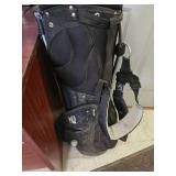 Set of Golf Clubs and Carrying Bag