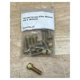 Lot of 12- Socket Screw Allen Wrench HS 8 M10x30