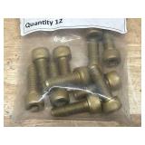 Lot of 12- Socket Screw Allen Wrench HS 8 M10x30