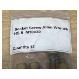 Lot of 12- Socket Screw Allen Wrench HS 8 M10x30