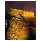 Zanon Brush Works Wheel Brush - 6 3/8 in Dia x 25 in Nylon Bristles P/N 44424 Made in USA