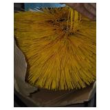 Zanon Brush Works Wheel Brush - 6 3/8 in Dia x 25 in Nylon Bristles P/N 44424 Made in USA