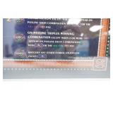 Vintage Casino Glass Game Fronts 18.5"x9.25"