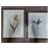 Two Minneapolis Art Institute 'Art in Bloom' Prints