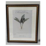 Two Minneapolis Art Institute 'Art in Bloom' Prints