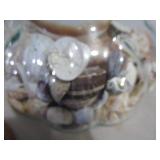 Glass Canister, Sea Shells