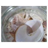 Glass Canister, Sea Shells