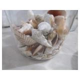 Glass Canister, Sea Shells