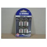 Brinks Travel Lock Set