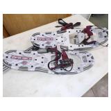 Winter Trail 3 Snow Shoes with Pair of poles