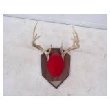 Deer Antler Mount