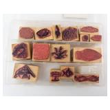 Sea Life Rubber Stamps on Wood Blocks - Assorted Marine Life Designs Sea Life Rubber Stamps on Wood Blocks - Assorted Marine Life Designs