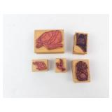 Bird Rubber Stamp Set on Wood Blocks - 5 Assorted Bird Designs Bird Rubber Stamp Set on Wood Blocks - 5 Assorted Bird Designs