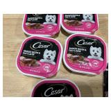 Cesar Dog Food Packets