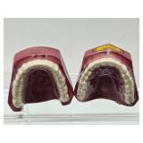 Nice Collection of Mid Century Ceramic Salt & Pepper Shaker Sets