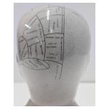 Very Cool Vintage Ceramic Phrenology Head - L.N. Fowler