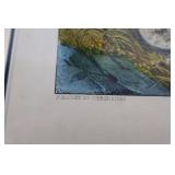 Antique Currier & Ives Hand-Colored Lithograph "Partridge Shooting" (1870)