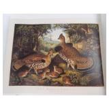 Currier & Ives Book Set - The Irish and America; The New Best 50; The Legacy of CURRIER & IVES