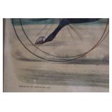 Harry Wilkes Trotting Gelding - Currier & Ives Print, 1885 Framed Artwork