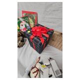 Christmas Décor and Book Lot