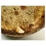 L6 - Roseville Donatello Jardiniere - Antique