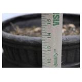 Pair of Antique Cast Stone Planters with Lion Head Ring Handles 13' x 14'