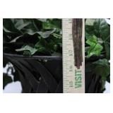 Iron Cast Garden Urns - Lattice Pattern, Pair with Removable Ivy Leaves 17' x 16'