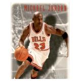 1996 Fleer Skybox Michael Jordan Card