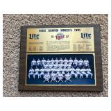 Minnesota Twins Wooden Carved Framed Collectible, Handmade Baseball Collectible