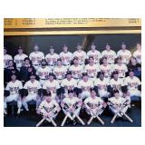 Minnesota Twins Wooden Carved Framed Collectible, Handmade Baseball Collectible