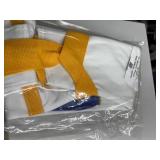 MedCare 440 Stand N Weigh Plus Patient Lift w/ Built In Digital Scale 440 lb Capacity Motorized Sit To Stand Transfer Lift Adjustable Knee Pads Wide Stable Base Perfect For Rehab Centers Assisted Livi