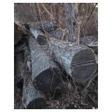 10+ Saw Mill Grade Logs Ash & White Oak