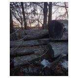 10+ Saw Mill Grade Logs Ash & White Oak