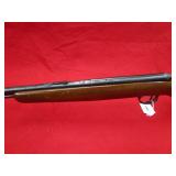 Remington Arms Axis 223Rem Rifle