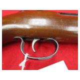 Remington Arms Axis 223Rem Rifle