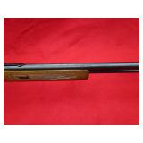 Glenfield 60 22LR Rifle
