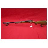 Glenfield 60 22LR Rifle
