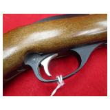 Glenfield 60 22LR Rifle