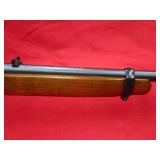Ruger 10/22 22LR Rifle