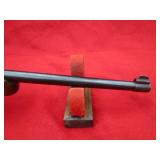 Ruger 10/22 22LR Rifle