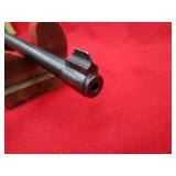 Ruger 10/22 22LR Rifle